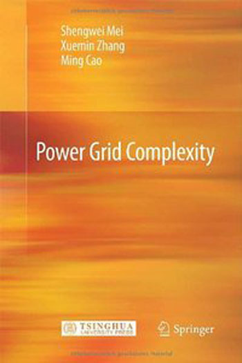 Power Grid Complexity