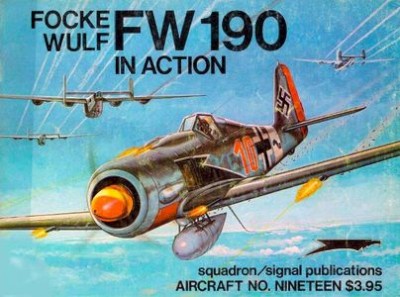 Aircraft No. Nineteen - Focke Wulf FW 190 in action