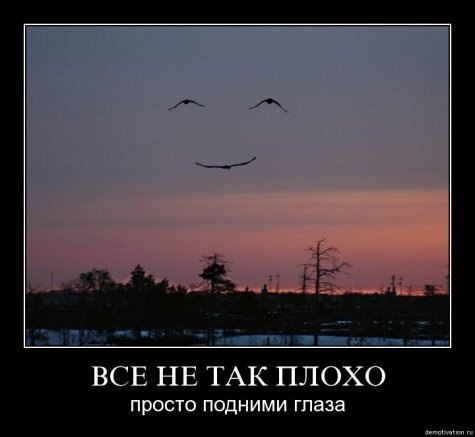 http://i43.fastpic.ru/big/2012/0709/16/55f36b30c8a20066deec231331592316.jpg