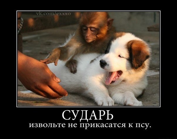 http://i43.fastpic.ru/big/2012/0717/1a/e104ffadca8e595c873a677edb36251a.jpg