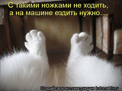 http://i43.fastpic.ru/big/2012/0717/f4/705e07a5b26d368eeabc6233a139c3f4.jpg
