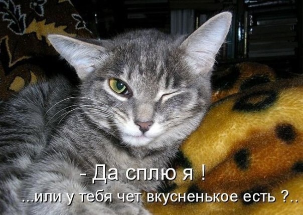 http://i43.fastpic.ru/big/2012/0717/fd/3f81a054eacaa4564becf8e0f4da8dfd.jpg
