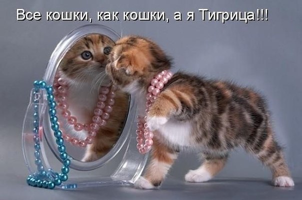 http://i43.fastpic.ru/big/2012/0718/12/860a82a0bae2a5ff144979952f082a12.jpg