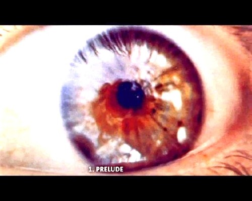 Nektar - Journey To The Centre Of The Eye 2004(1971-1972) DVD-A SACD