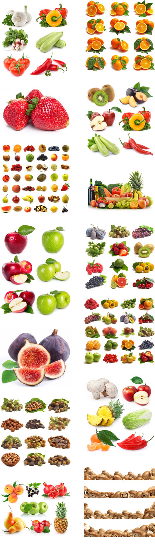 Fresh fruits, vegetables, berries2 0216