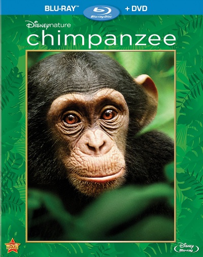 Chimpanzee (2012) BRRip 720p x264 - Ganool