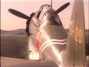     -  --190 / Wings of the Luftwaffe - FW-190 (1992) DVDRip