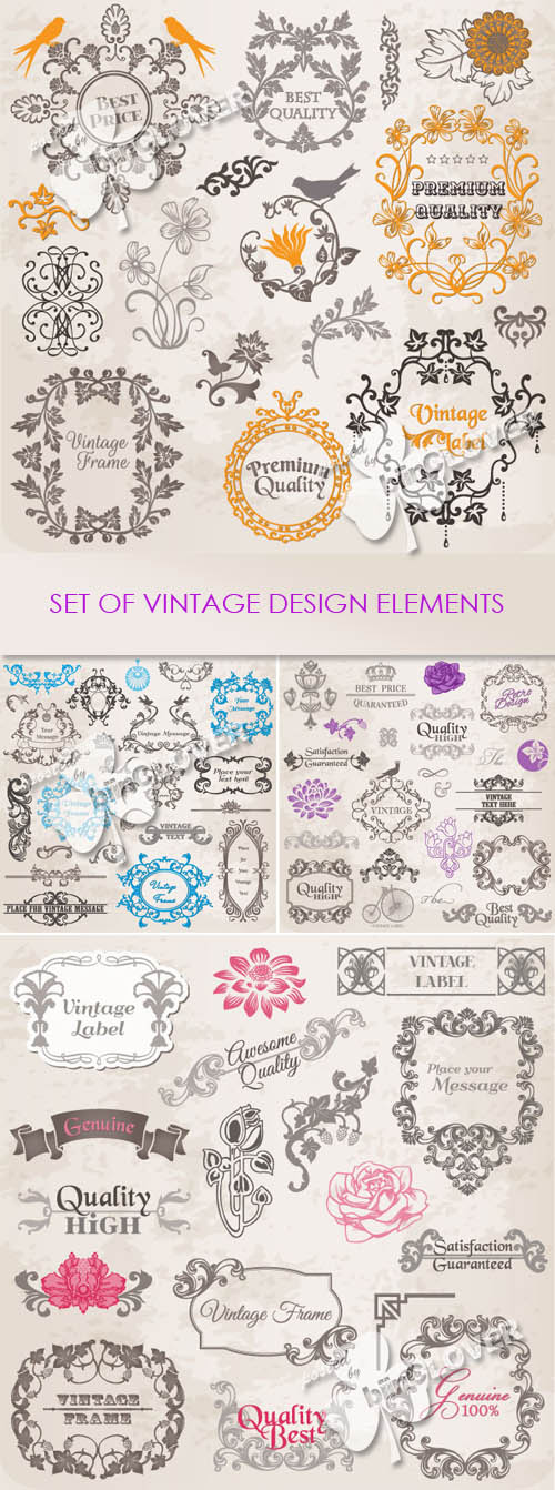Set of vintage design elements 0225
