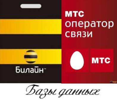 База данных сотового оператора Билайн + База данных абонентов сотового оператора МТС (2012/RUS/PC)