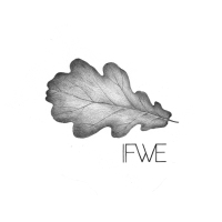 Ifwe - Вся моя радость (2012) / glo-fi, chillwave, neo folk