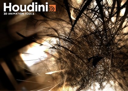 SideFX Houdini Master 12.1.33