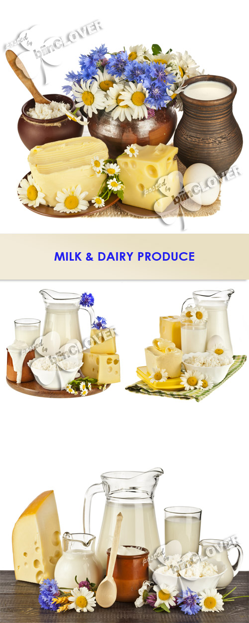 Milk and dairy produce 0229