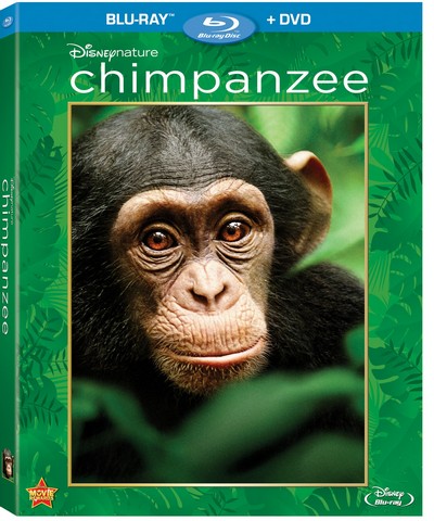 'Chimpanzee