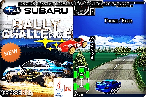 Subaru Rally Challenge /  