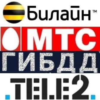 База данных ГИБДД 2012+страховка + База данных Билайн + База данных абонентов МТС + База данных Теле2 (2012/RUS) PC