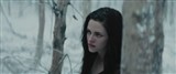    / Snow White and the Huntsman (2012) HDRip