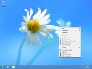 Windows 8 Enterprise x86 Alternative activation 9200.16384 (RUS/2012)