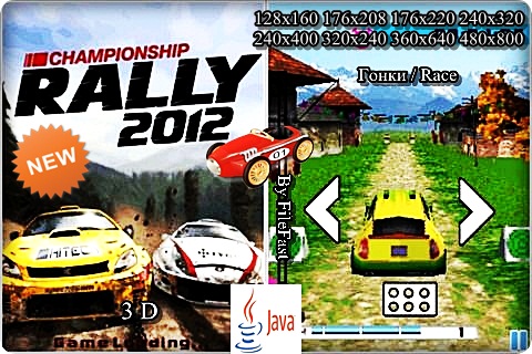 Championship Rally 2012 /     2012