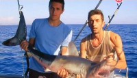 Адріатика. У пошуках білої акули / Adriatic. Search for the Great White Shark (2012) SATRip 