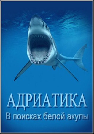 Адриатика. В поисках белой акулы / Search for the Great White Shark (2012 / SATRip)