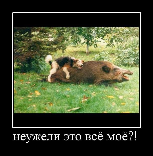http://i43.fastpic.ru/big/2012/0917/2d/d1d0d6c984b376f80623ca15361eef2d.jpg