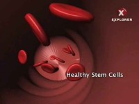 Супер наука. Стовбурові клітини / Super Science: Stem cells (2012) SATRip 