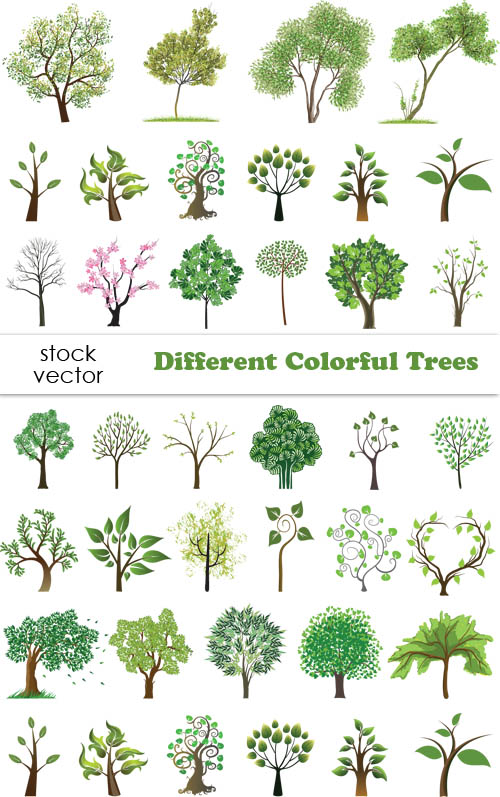 Vectors - Different Colorful Trees