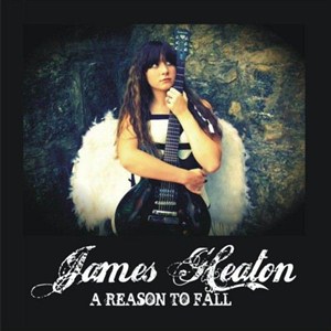 James Heaton - A Reason To Fall (2012)