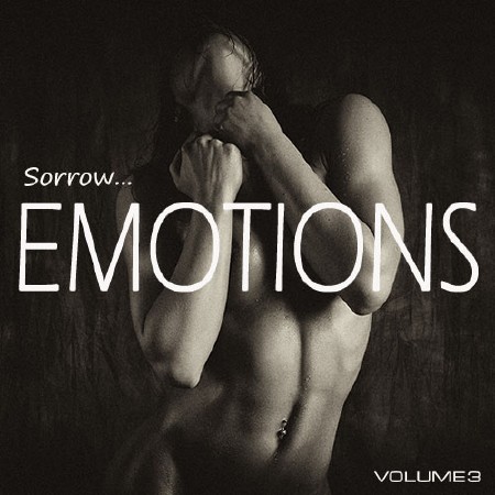 Emotions. Sorrow... Vol.3 (2012)