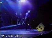 Depeche Mode - Black Celebration Tour 1986 (2008) DVDRip