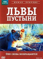 .  .   / BBC. Natural world. Desert Lions (2007) DVDRip
