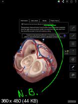 Heart Pro III v3.1 для iPad (Медицина, iOS 4.3)