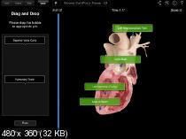 Heart Pro III v3.1 для iPad (Медицина, iOS 4.3)
